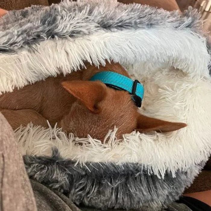 CozyNook Plush Round Pet Bed for Dogs and Cats